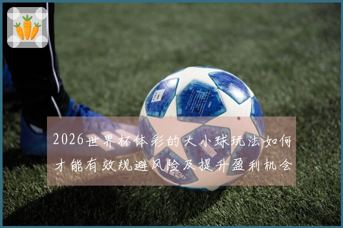 2026世界杯体彩的大小球玩法如何才能有效规避风险及提升盈利机会