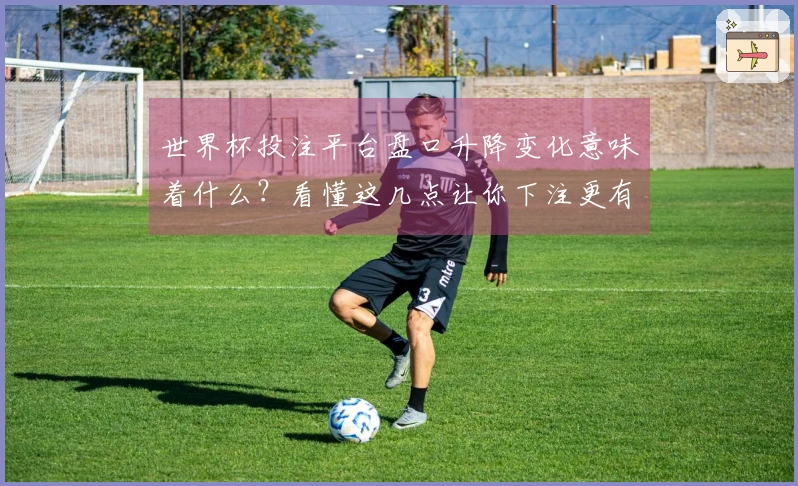 世界杯投注平台盘口升降变化意味着什么？看懂这几点让你下注更有信心